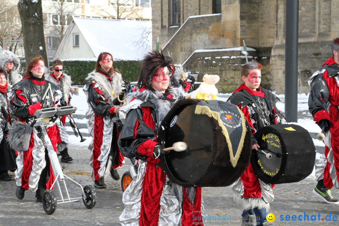 Fasnet - Kinderumzug: Singen am Bodensee, 09.02.2013