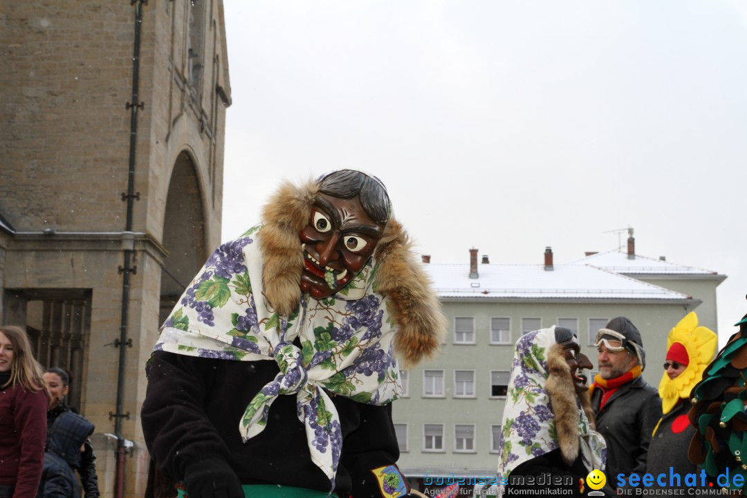 Fasnet - Kinderumzug: Singen am Bodensee, 09.02.2013