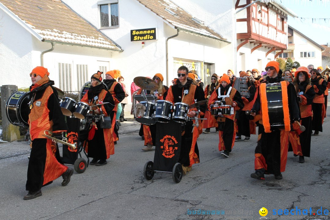 Fasnets Umzug: Hilzingen am Bodensee, 10.02.2013