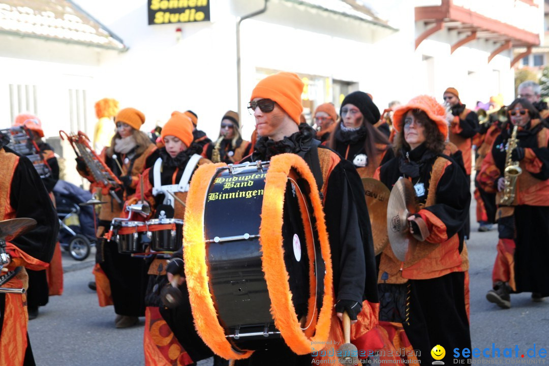 Fasnets Umzug: Hilzingen am Bodensee, 10.02.2013