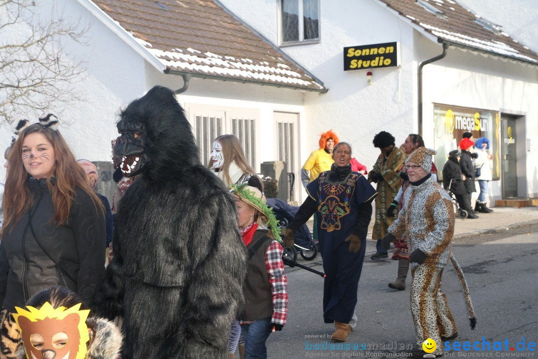 Fasnets Umzug: Hilzingen am Bodensee, 10.02.2013