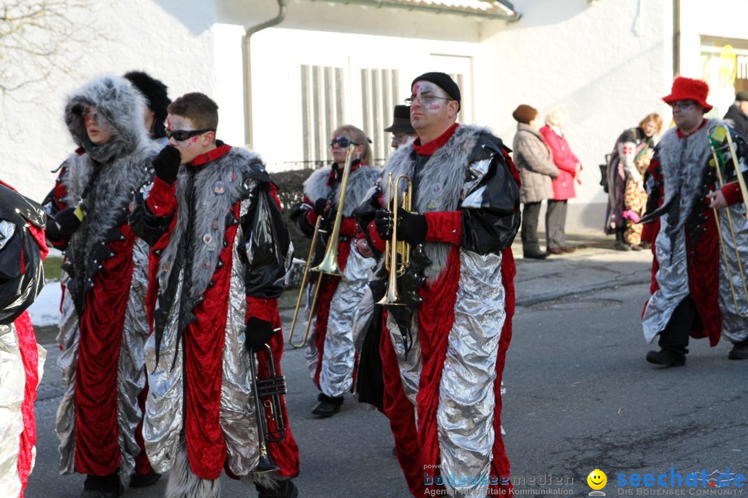 Fasnets Umzug: Hilzingen am Bodensee, 10.02.2013