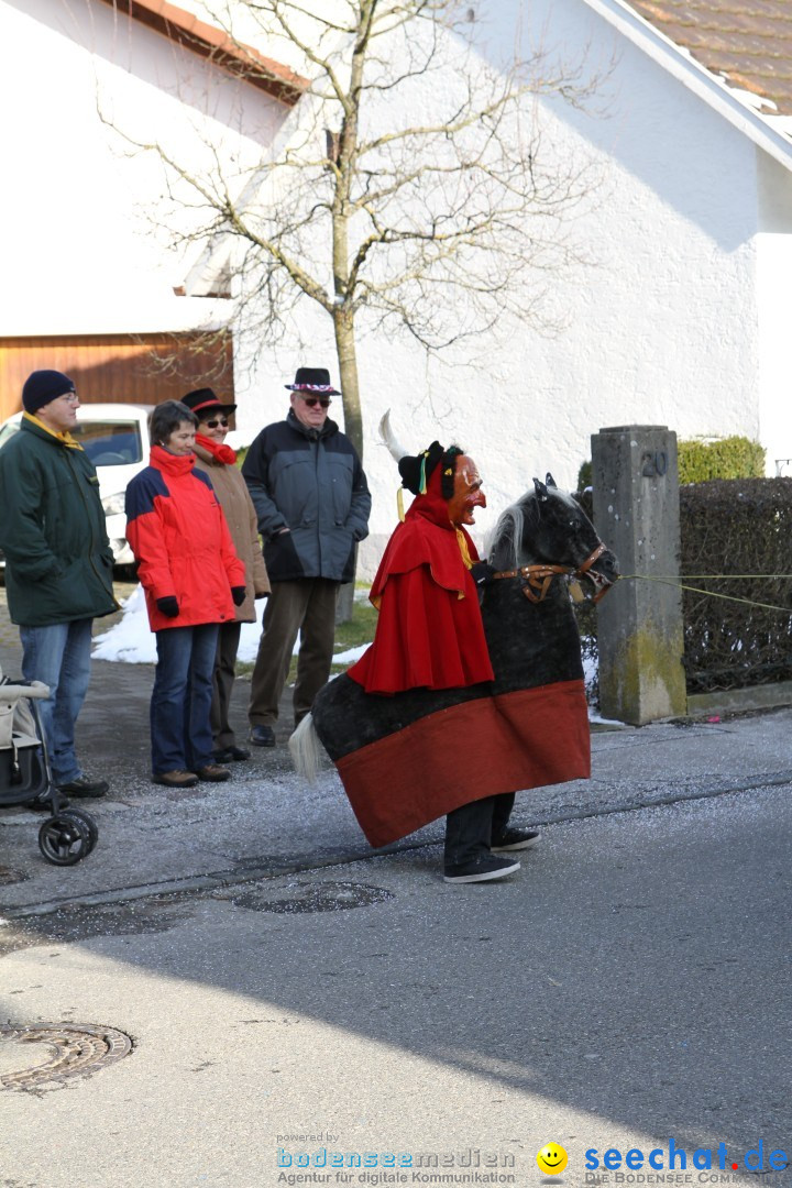 Fasnets Umzug: Hilzingen am Bodensee, 10.02.2013