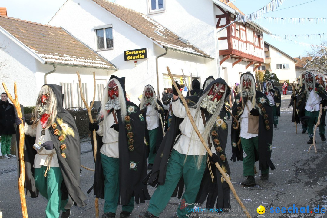 Fasnets Umzug: Hilzingen am Bodensee, 10.02.2013