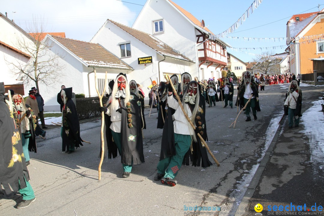 Fasnets Umzug: Hilzingen am Bodensee, 10.02.2013