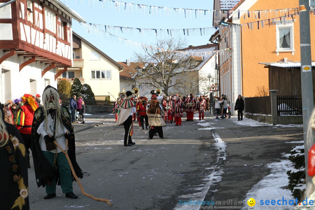 Fasnets Umzug: Hilzingen am Bodensee, 10.02.2013