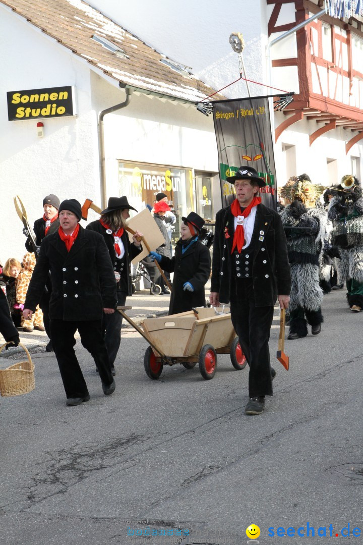 Fasnets Umzug: Hilzingen am Bodensee, 10.02.2013