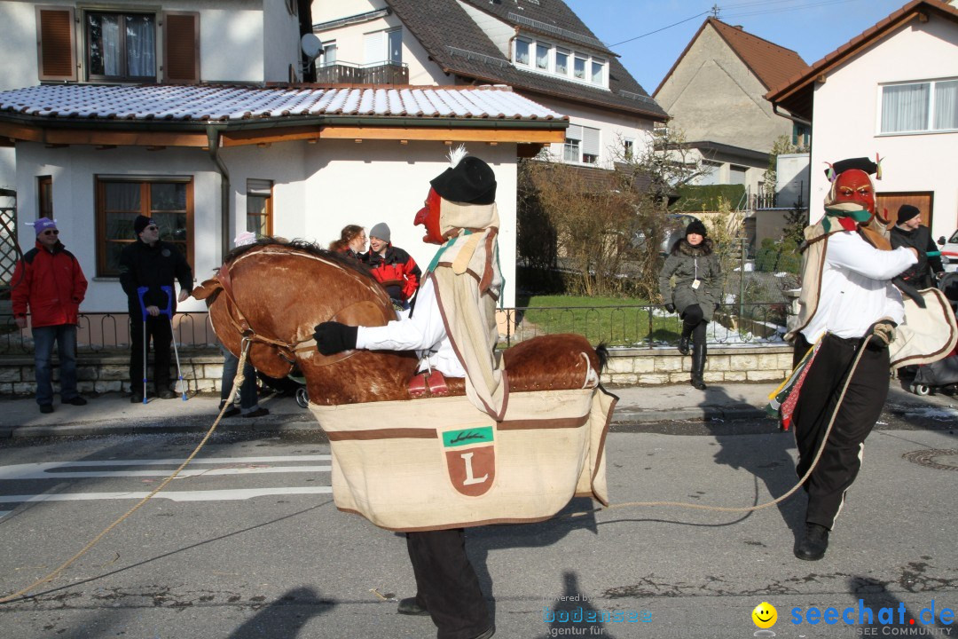 Fasnets Umzug: Hilzingen am Bodensee, 10.02.2013