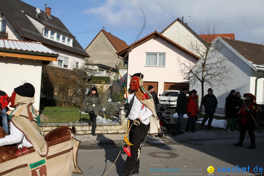 Fasnets Umzug: Hilzingen am Bodensee, 10.02.2013