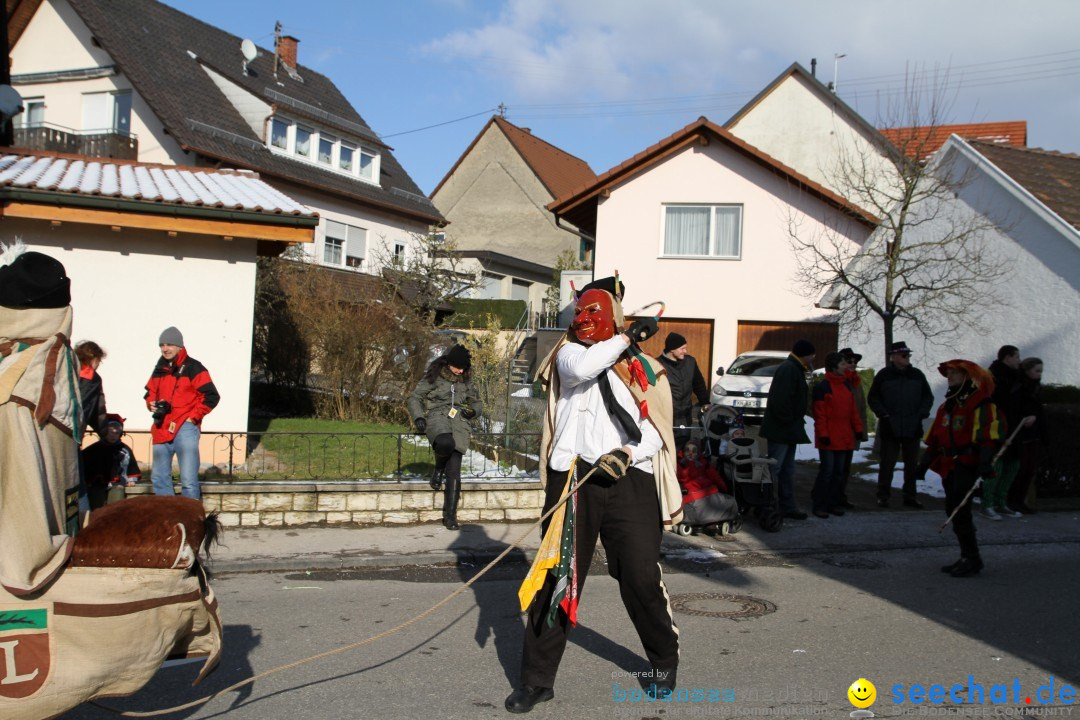 Fasnets Umzug: Hilzingen am Bodensee, 10.02.2013