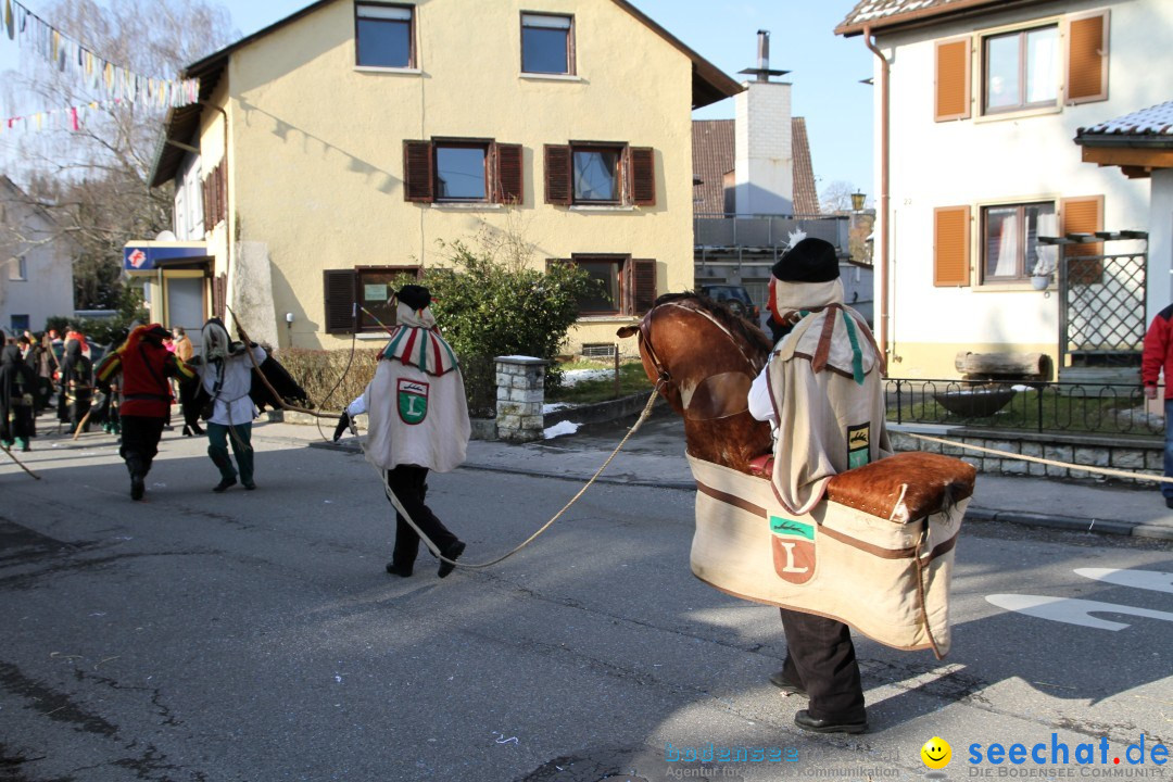 Fasnets Umzug: Hilzingen am Bodensee, 10.02.2013