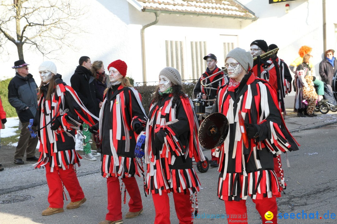 Fasnets Umzug: Hilzingen am Bodensee, 10.02.2013