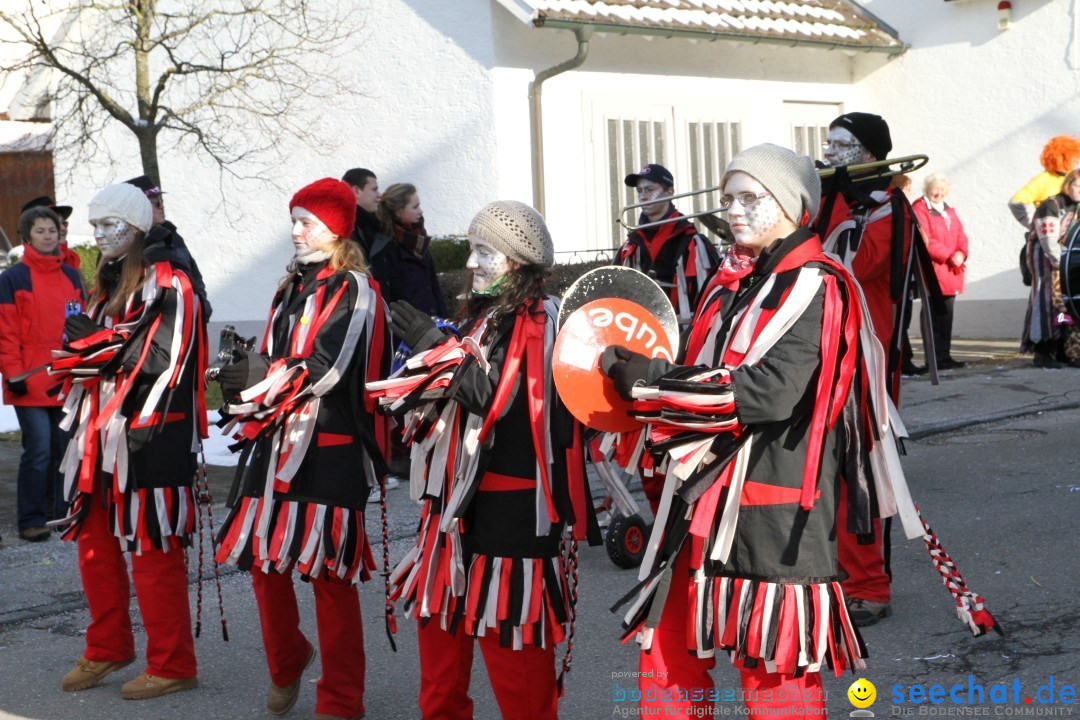 Fasnets Umzug: Hilzingen am Bodensee, 10.02.2013