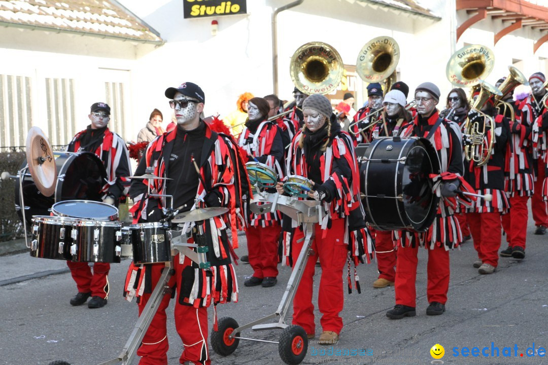 Fasnets Umzug: Hilzingen am Bodensee, 10.02.2013