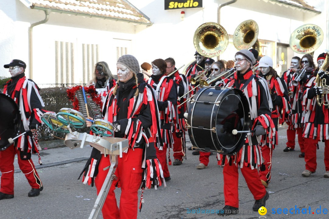 Fasnets Umzug: Hilzingen am Bodensee, 10.02.2013