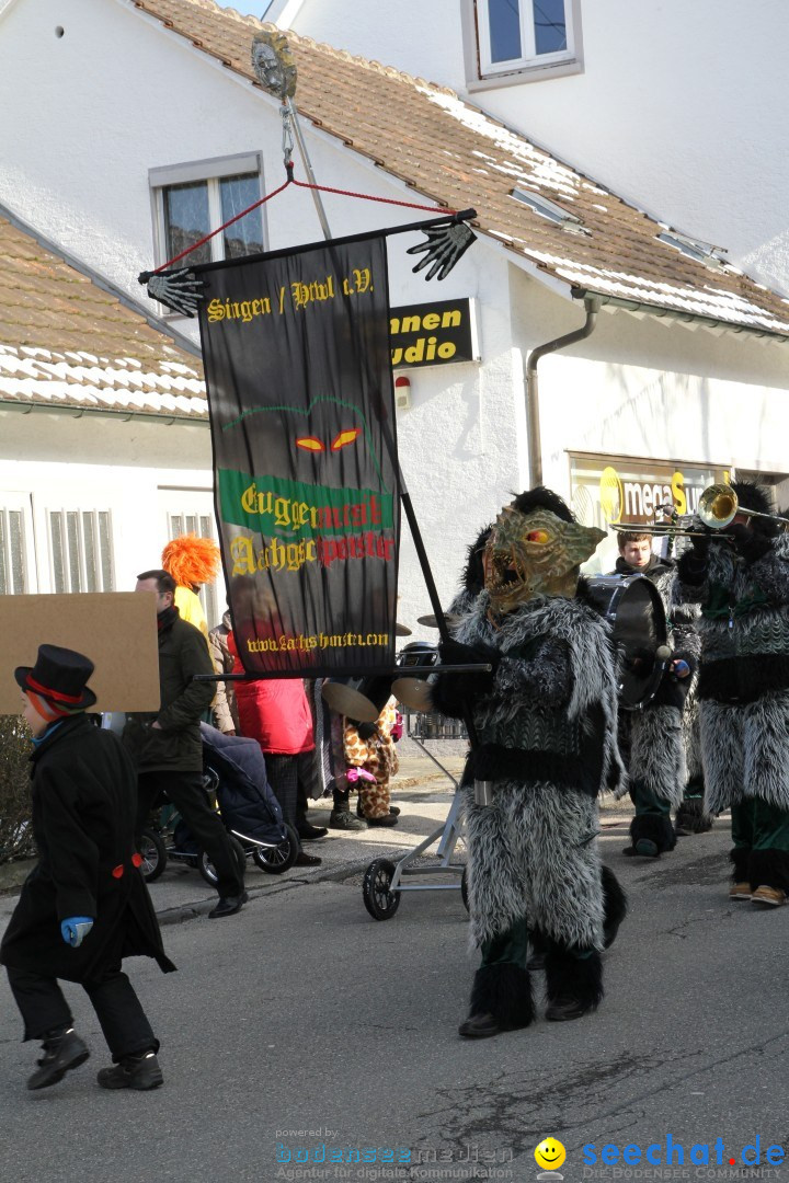 Fasnets Umzug: Hilzingen am Bodensee, 10.02.2013