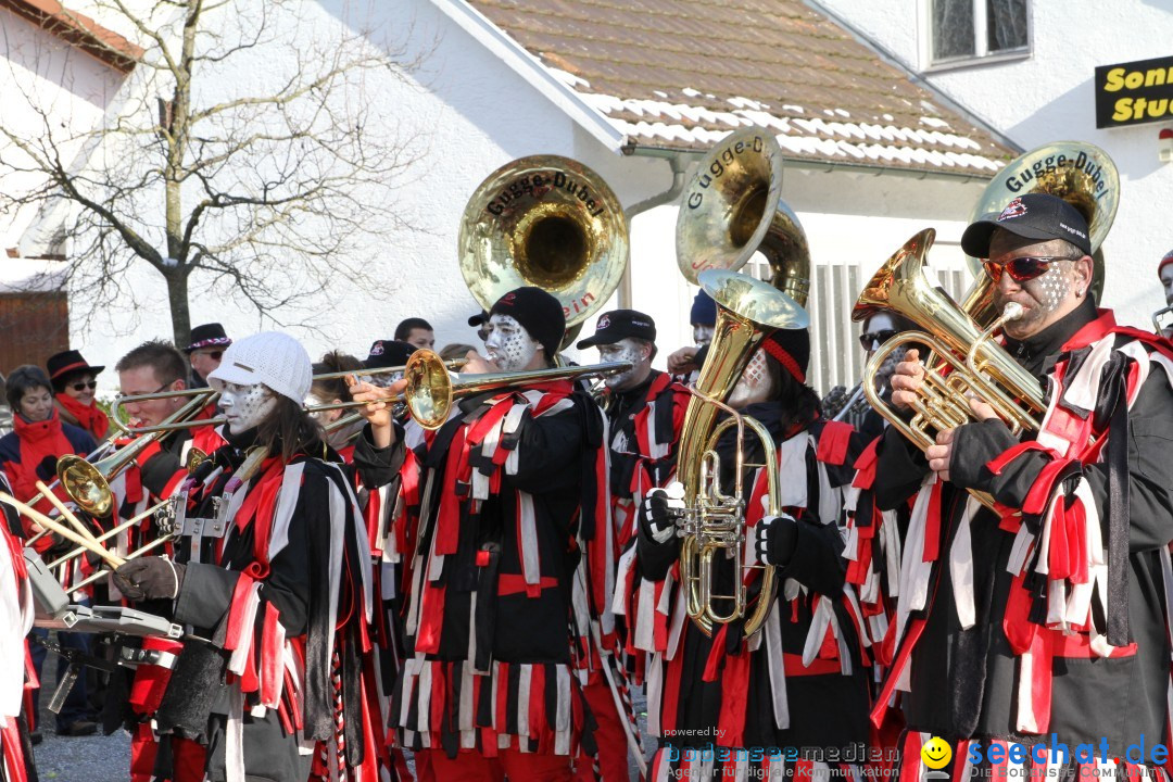 Fasnets Umzug: Hilzingen am Bodensee, 10.02.2013