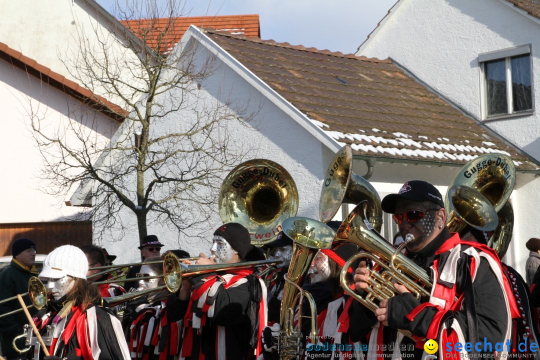 Fasnets Umzug: Hilzingen am Bodensee, 10.02.2013