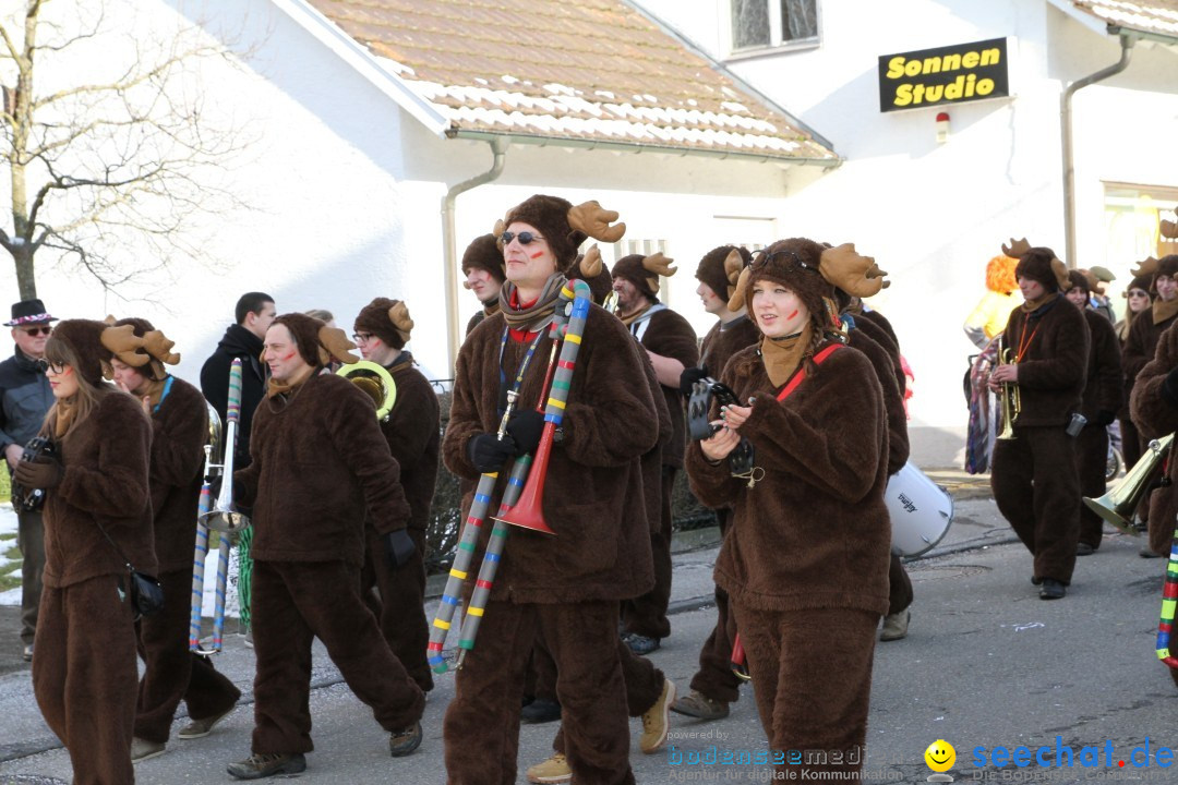 Fasnets Umzug: Hilzingen am Bodensee, 10.02.2013