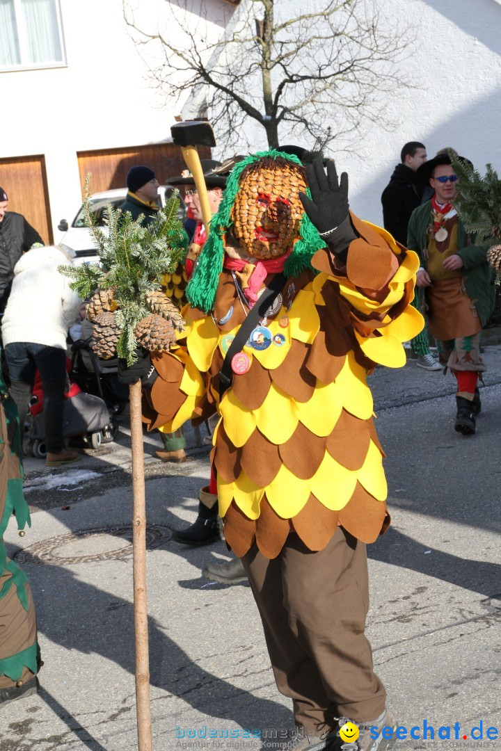 Fasnets Umzug: Hilzingen am Bodensee, 10.02.2013