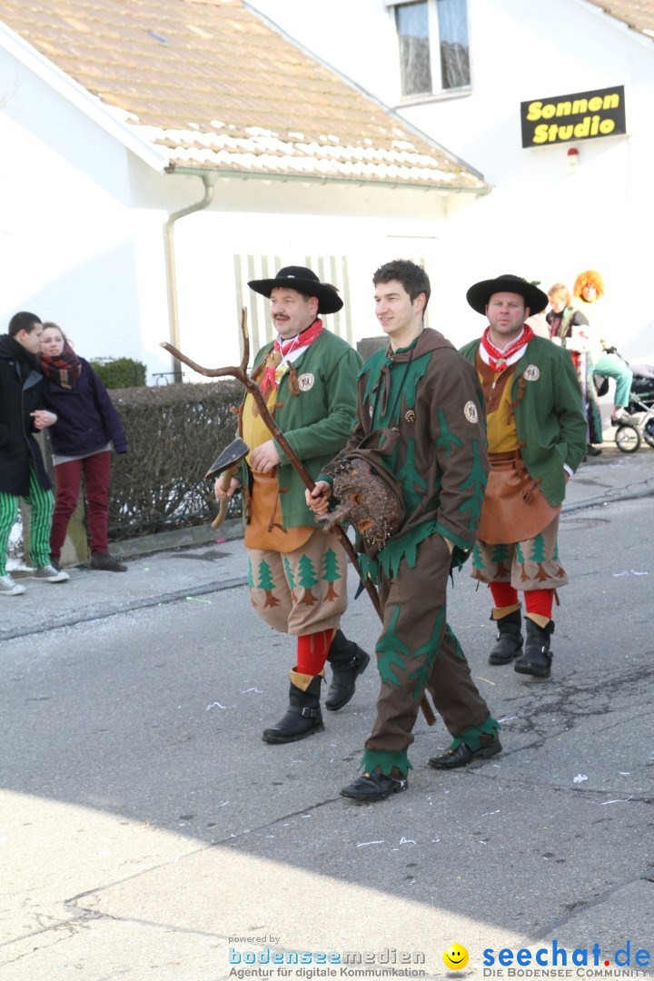 Fasnets Umzug: Hilzingen am Bodensee, 10.02.2013