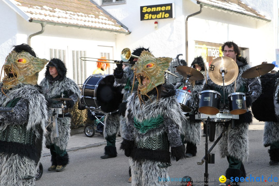 Fasnets Umzug: Hilzingen am Bodensee, 10.02.2013