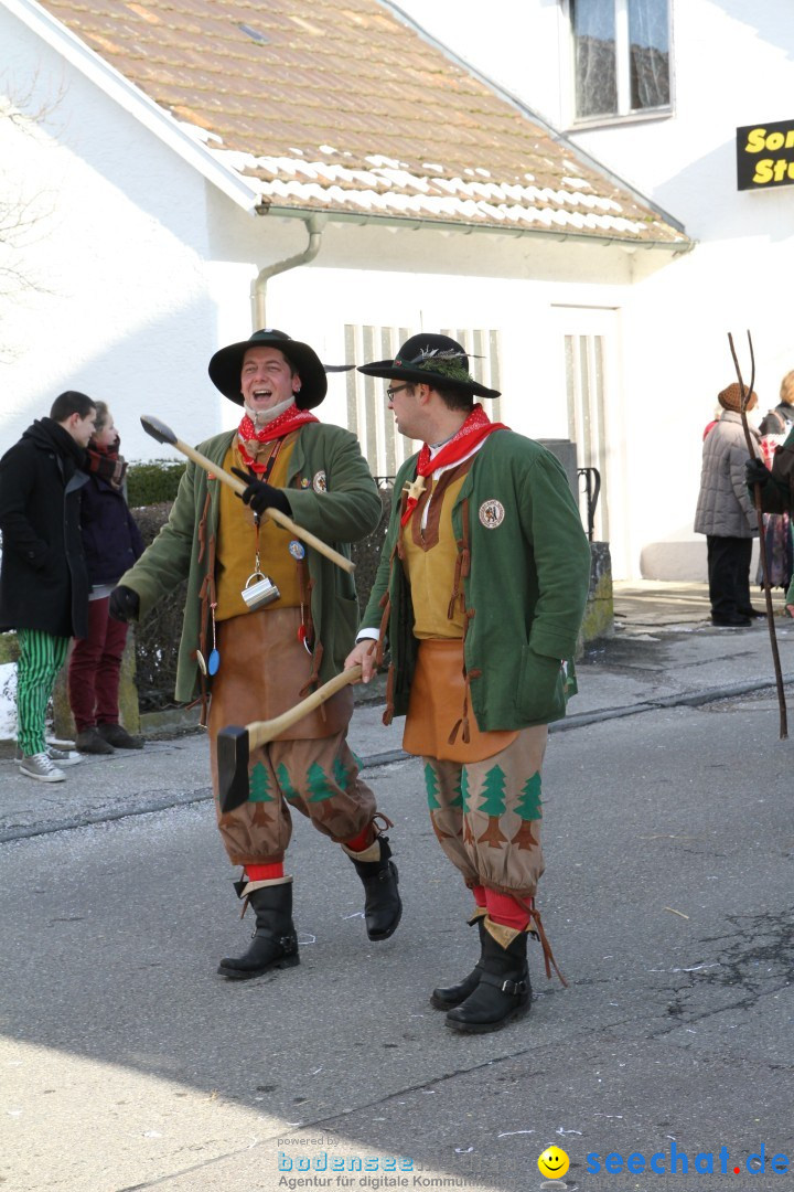 Fasnets Umzug: Hilzingen am Bodensee, 10.02.2013