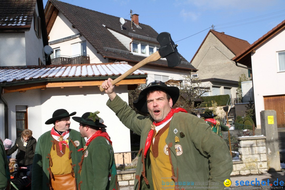 Fasnets Umzug: Hilzingen am Bodensee, 10.02.2013