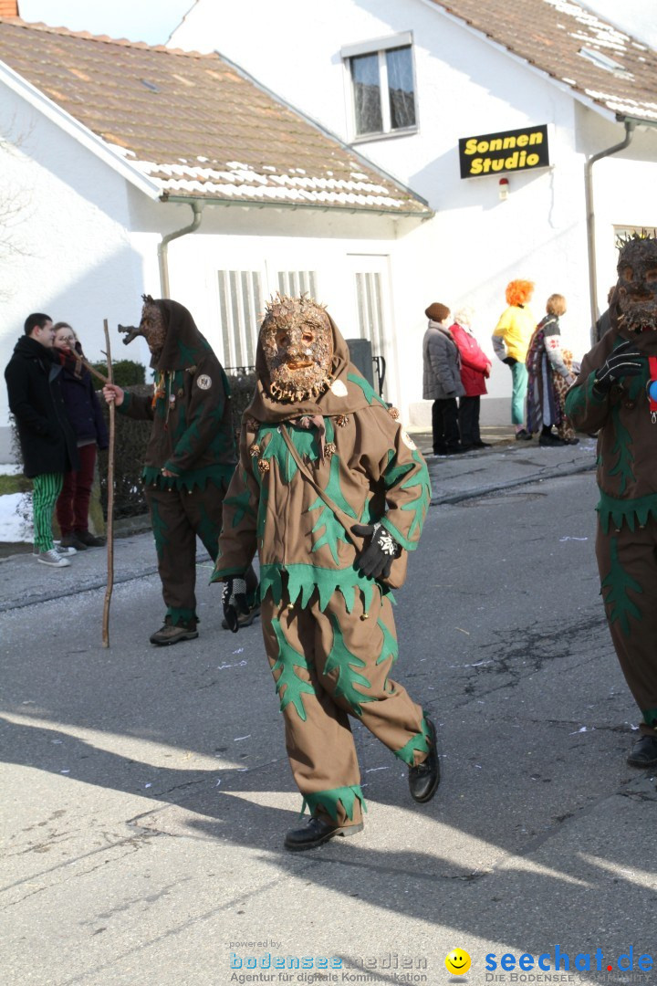 Fasnets Umzug: Hilzingen am Bodensee, 10.02.2013