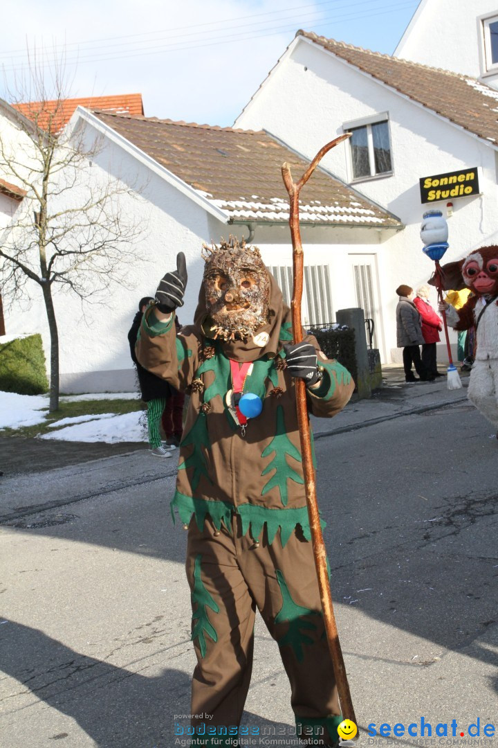 Fasnets Umzug: Hilzingen am Bodensee, 10.02.2013