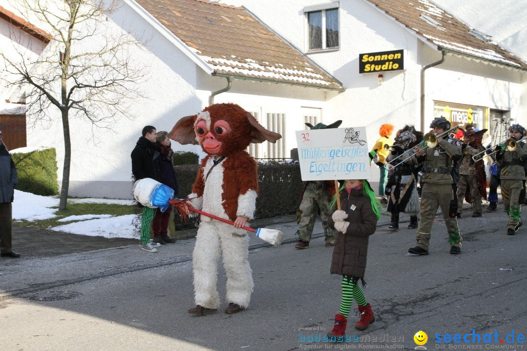 Fasnets Umzug: Hilzingen am Bodensee, 10.02.2013