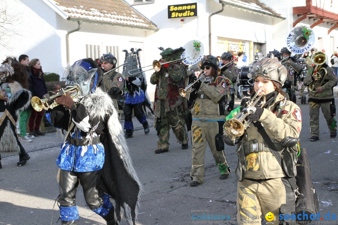 Fasnets Umzug: Hilzingen am Bodensee, 10.02.2013