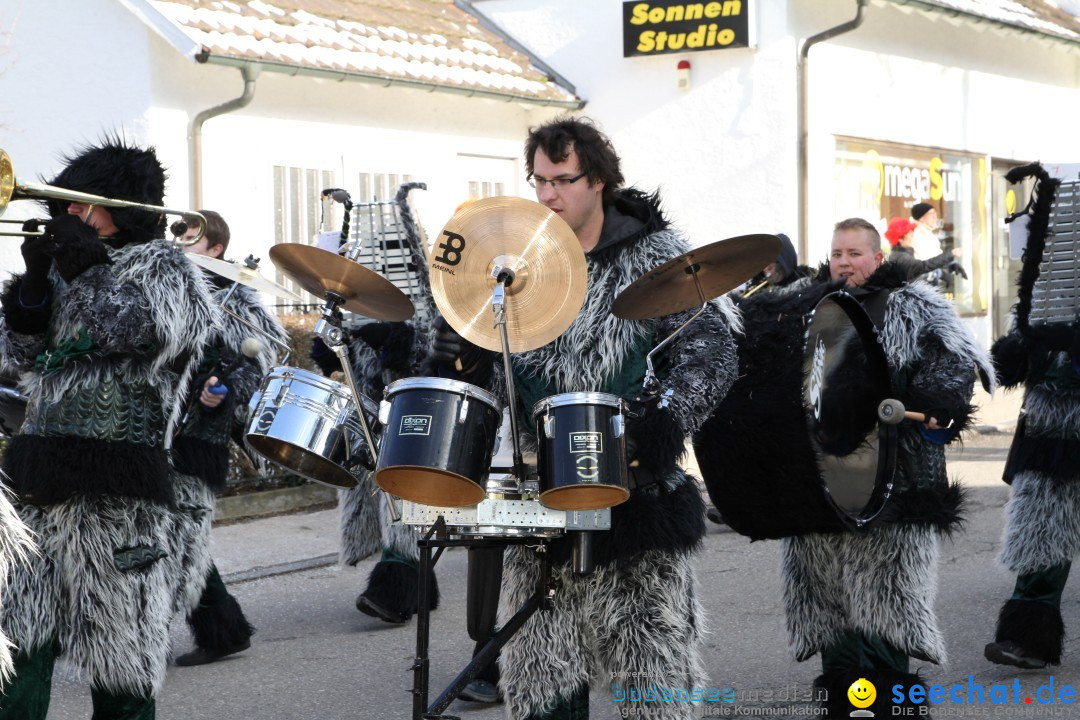 Fasnets Umzug: Hilzingen am Bodensee, 10.02.2013