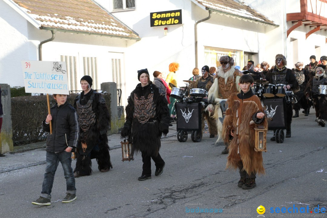 Fasnets Umzug: Hilzingen am Bodensee, 10.02.2013