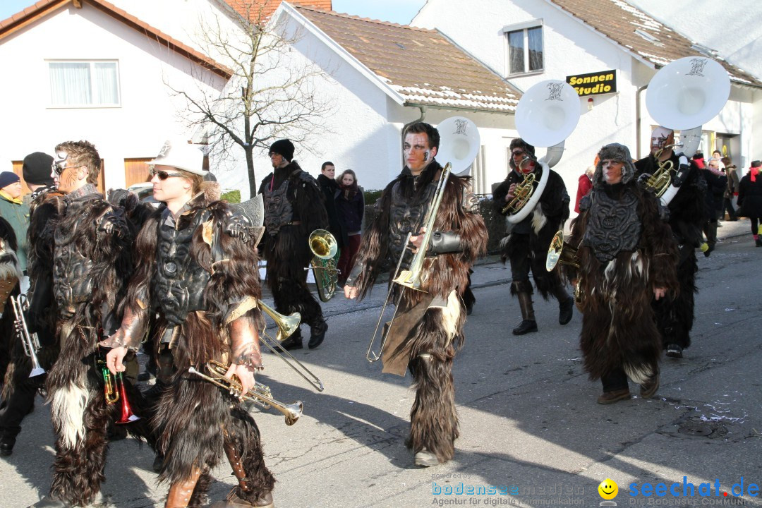 Fasnets Umzug: Hilzingen am Bodensee, 10.02.2013