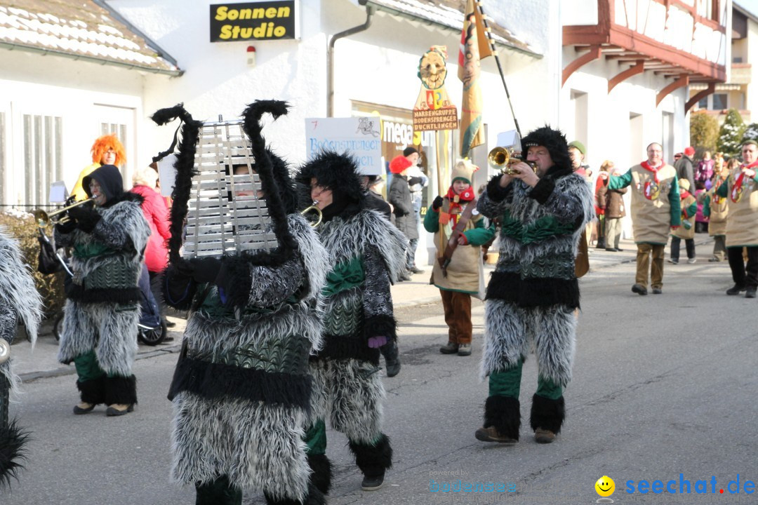 Fasnets Umzug: Hilzingen am Bodensee, 10.02.2013