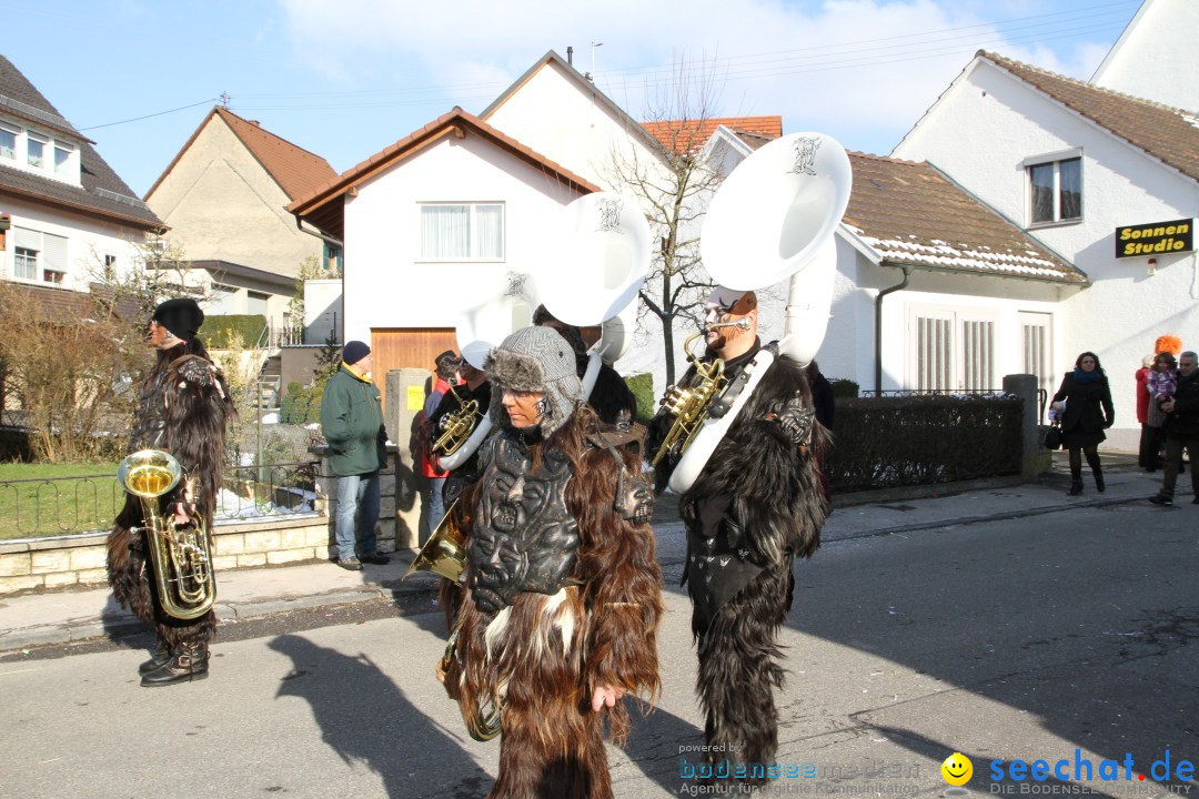 Fasnets Umzug: Hilzingen am Bodensee, 10.02.2013