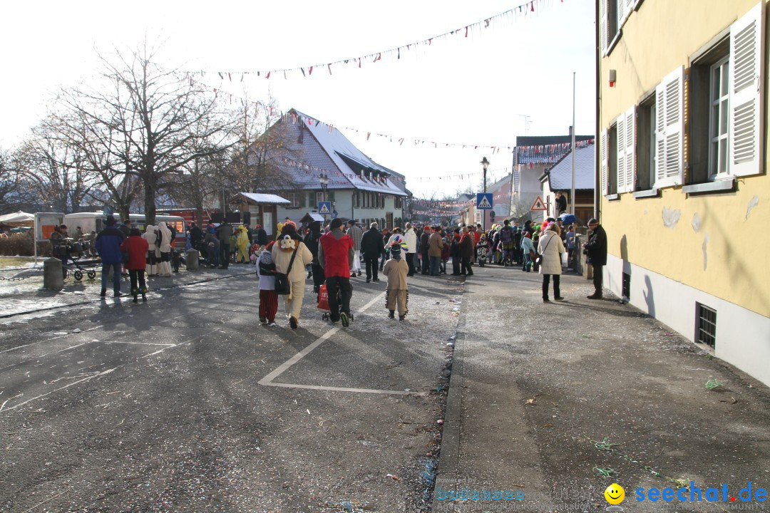 Fasnets Umzug: Hilzingen am Bodensee, 10.02.2013