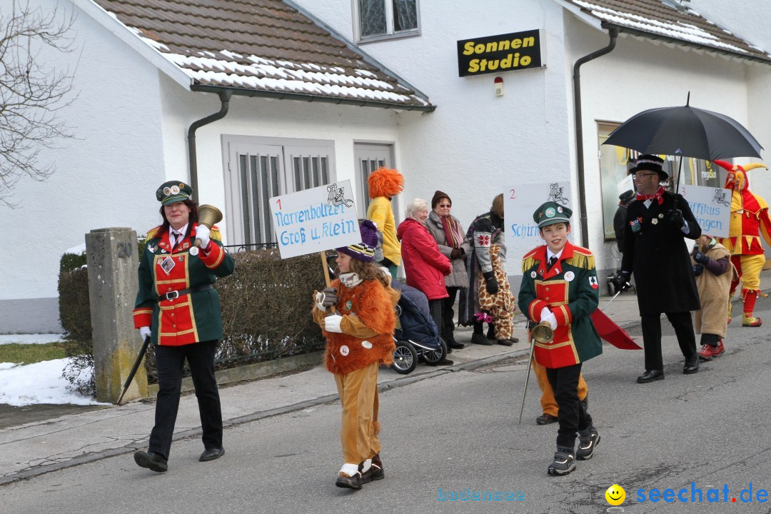 Fasnets Umzug: Hilzingen am Bodensee, 10.02.2013