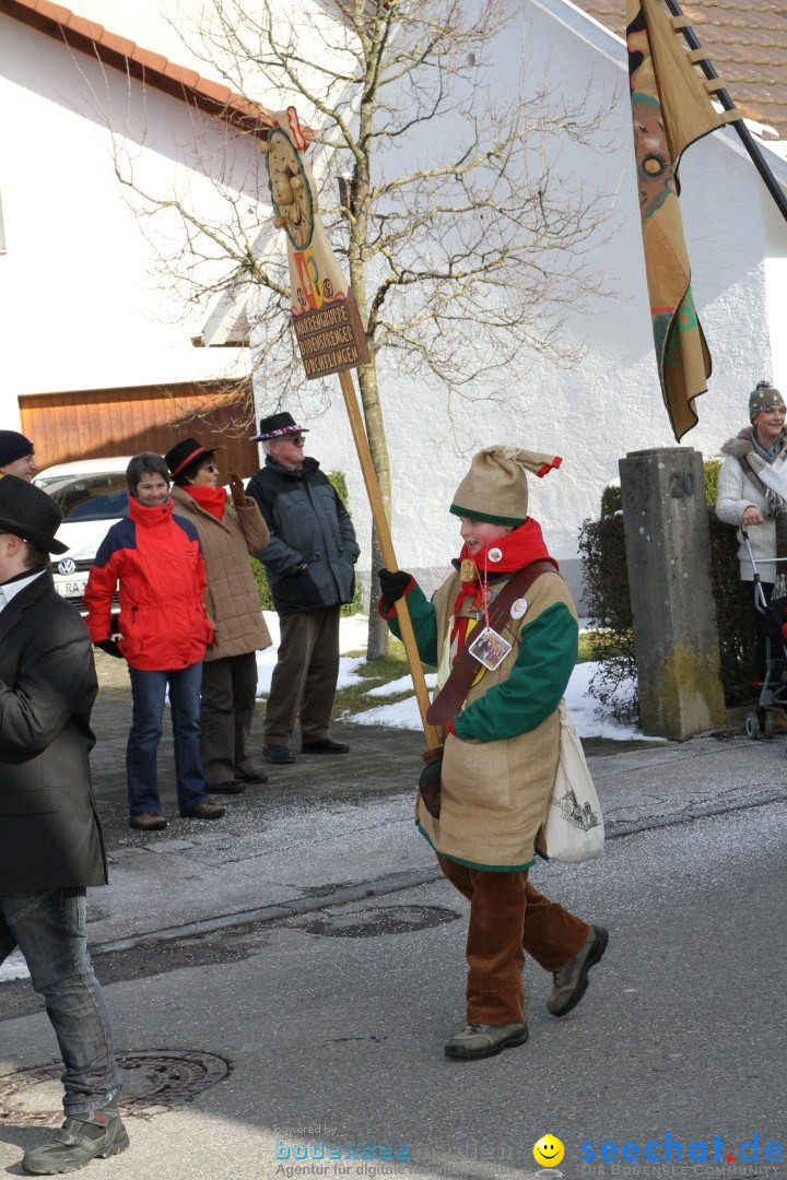 Fasnets Umzug: Hilzingen am Bodensee, 10.02.2013