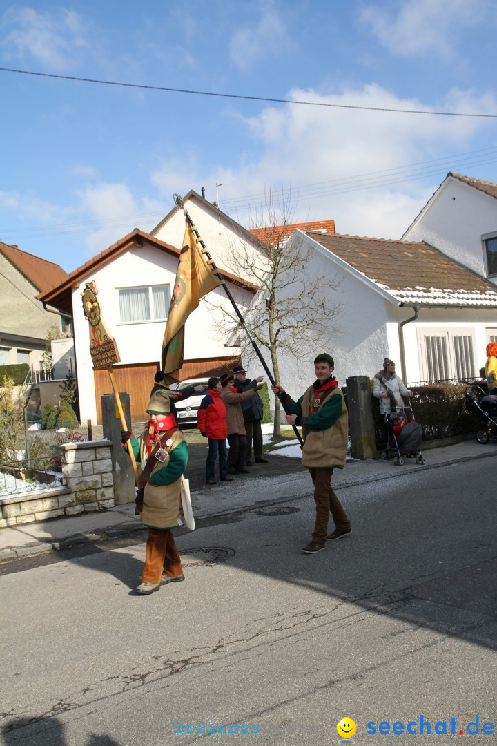 Fasnets Umzug: Hilzingen am Bodensee, 10.02.2013