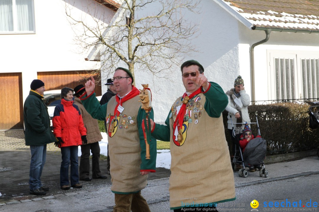 Fasnets Umzug: Hilzingen am Bodensee, 10.02.2013