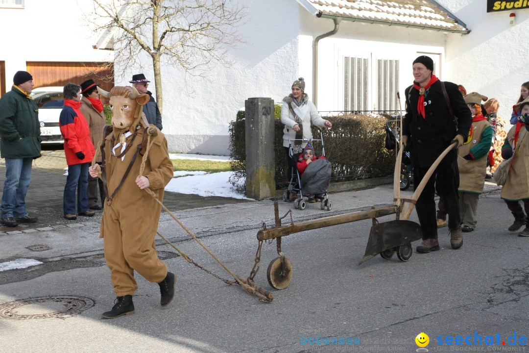 Fasnets Umzug: Hilzingen am Bodensee, 10.02.2013