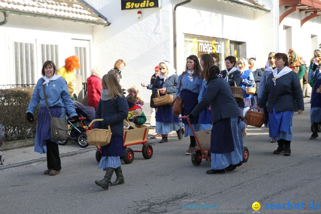 Fasnets Umzug: Hilzingen am Bodensee, 10.02.2013