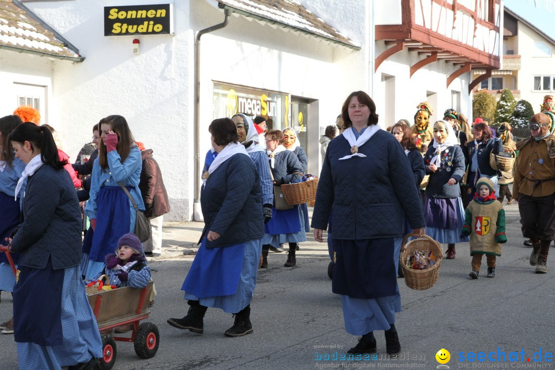 Fasnets Umzug: Hilzingen am Bodensee, 10.02.2013