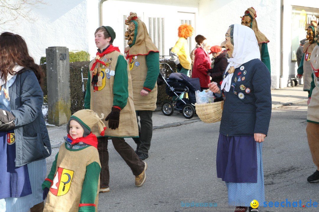 Fasnets Umzug: Hilzingen am Bodensee, 10.02.2013