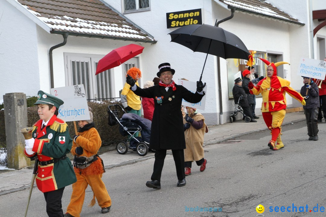 Fasnets Umzug: Hilzingen am Bodensee, 10.02.2013