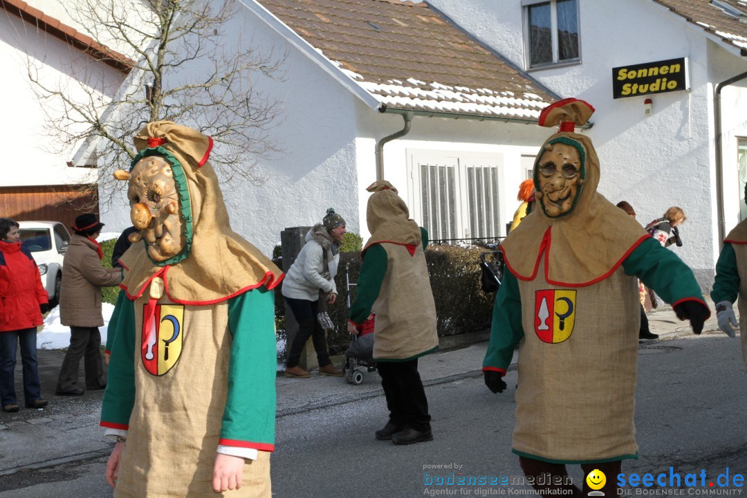 Fasnets Umzug: Hilzingen am Bodensee, 10.02.2013