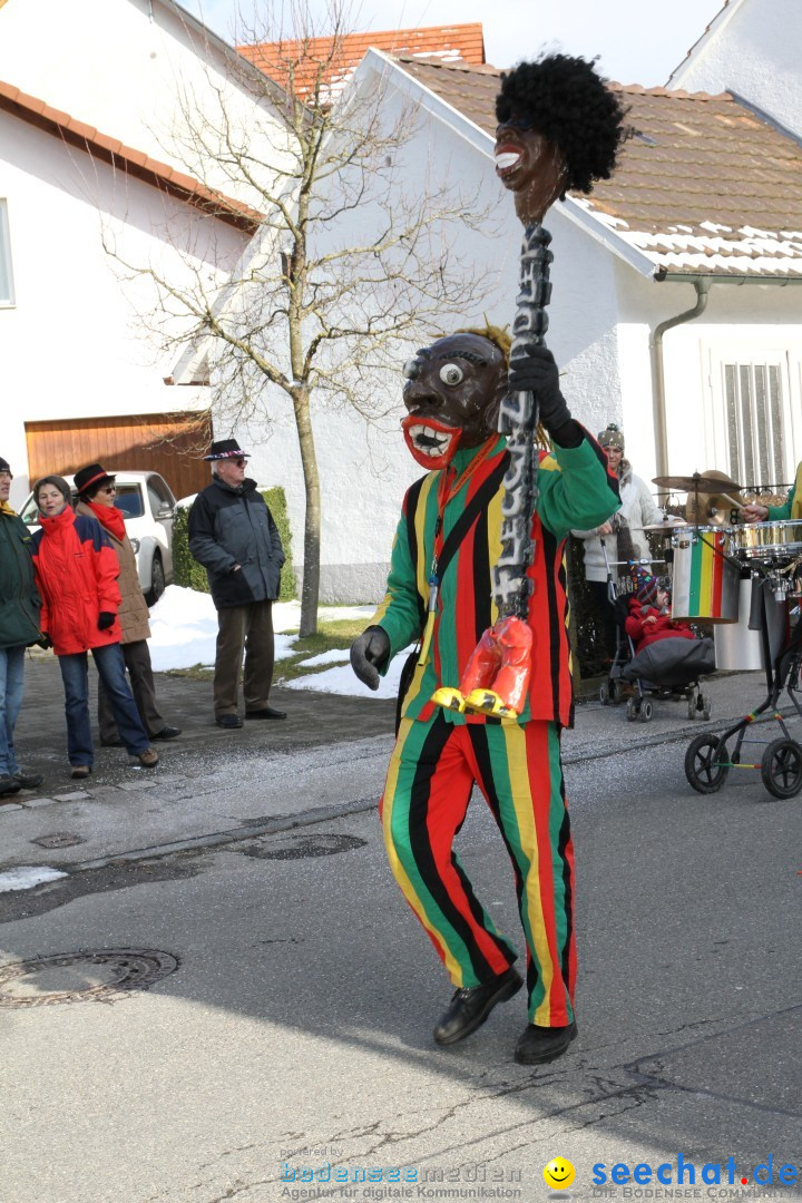 Fasnets Umzug: Hilzingen am Bodensee, 10.02.2013