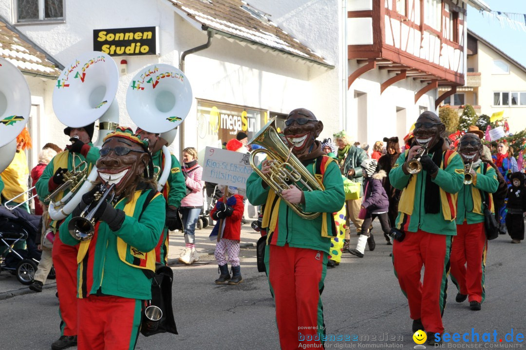 Fasnets Umzug: Hilzingen am Bodensee, 10.02.2013